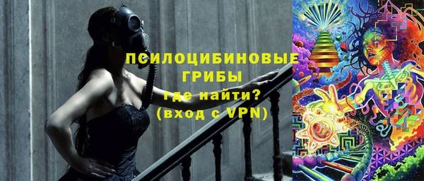 тгк Горнозаводск