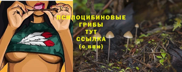 бошки Горно-Алтайск