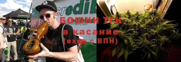 тгк Горнозаводск