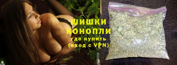 тгк Горнозаводск