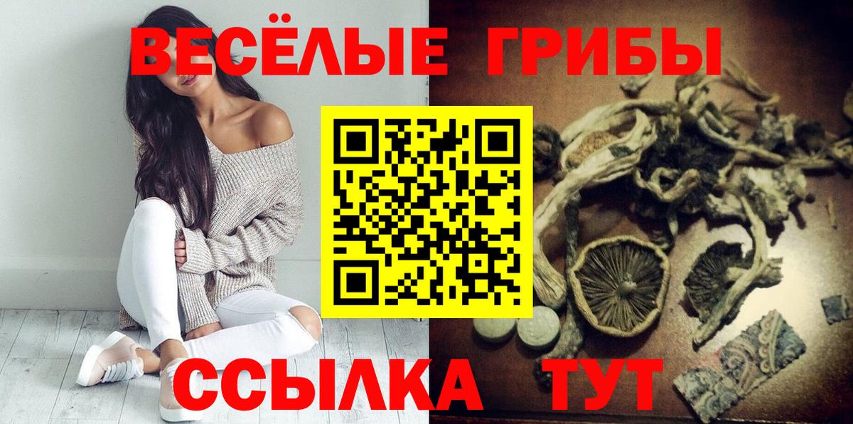 Галлюциногенные грибы Magic Shrooms Дедовск