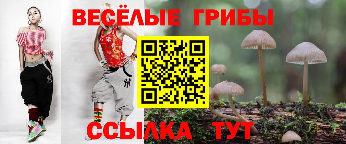 даркнет сайт  Дедовск  Псилоцибиновые грибы Magic Shrooms  Псилоцибиновые грибы прущие грибы 